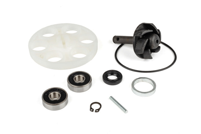 MF96.16601 WATER PUMP REPAIR KIT MINARELLI, Apex