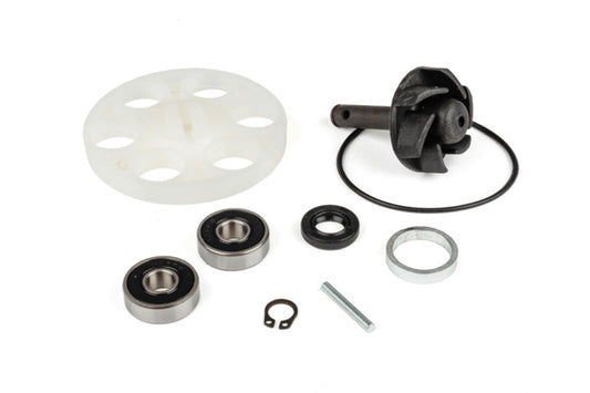 MF96.16601 WATER PUMP REPAIR KIT MINARELLI, Apex